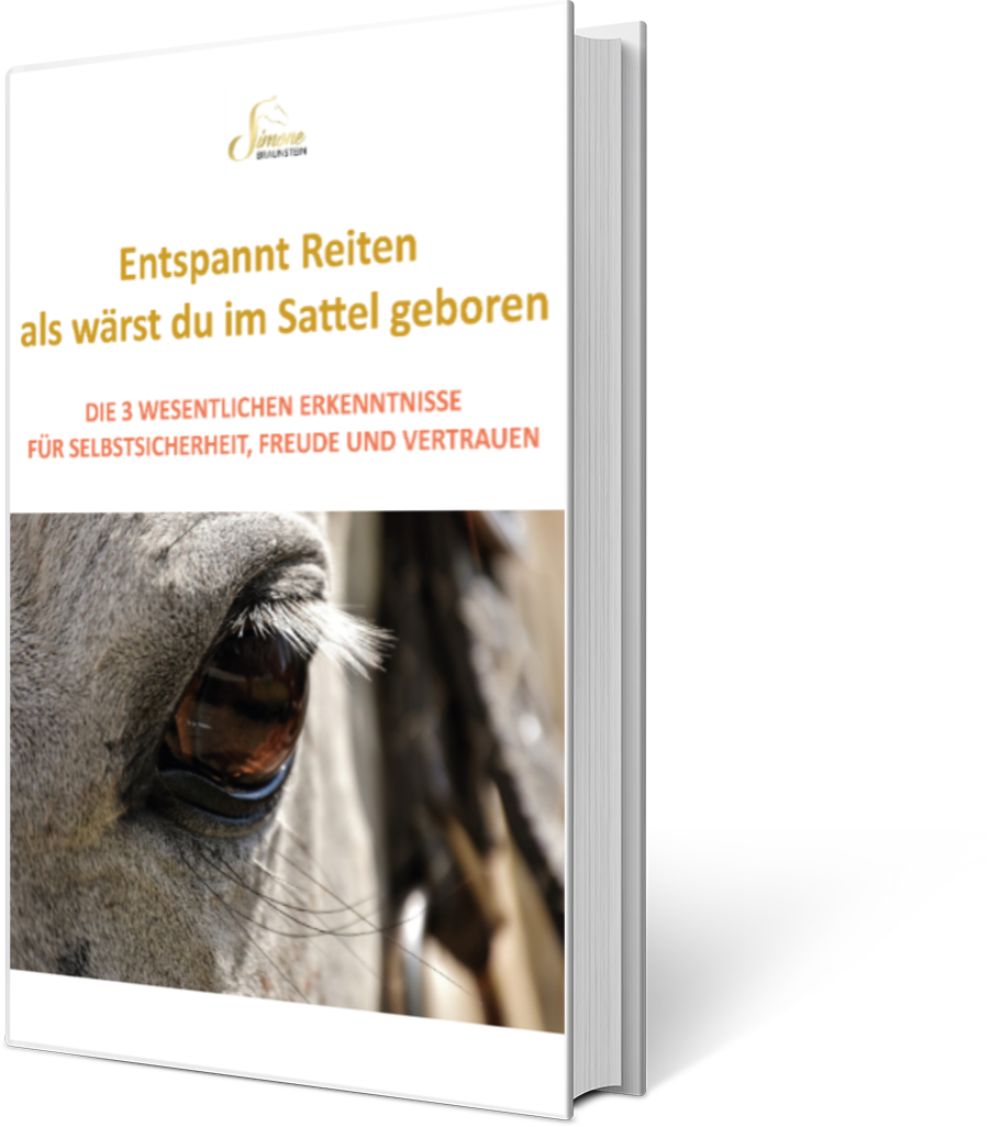 ebook_cover (13)